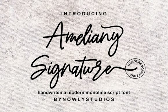 Ameliany Signature: A Designer’s Take on Real-World Use