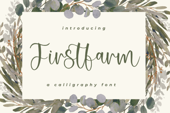 Firstfarm: A Designer’s Take on Real-World Use